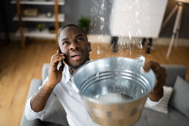 Best Carpet water damage restoration  in Charleston, SC