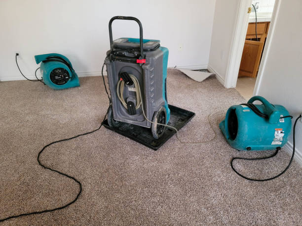  Charleston, SC Water damage restoration Pros