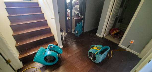 Best Flood damage cleanup  in Charleston, SC