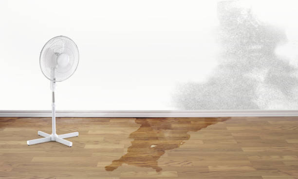Best Sewage cleanup and water damage restoration  in Charleston, SC