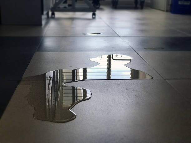 Best Commercial water damage restoration  in Charleston, SC