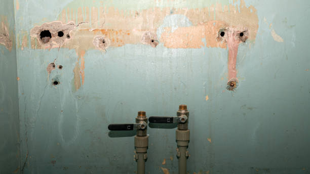 Best Water damage restoration specialists  in Charleston, SC