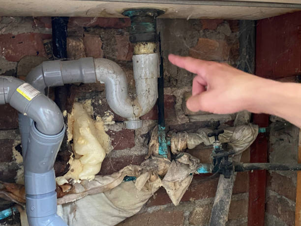 Best Flood restoration services  in Charleston, SC